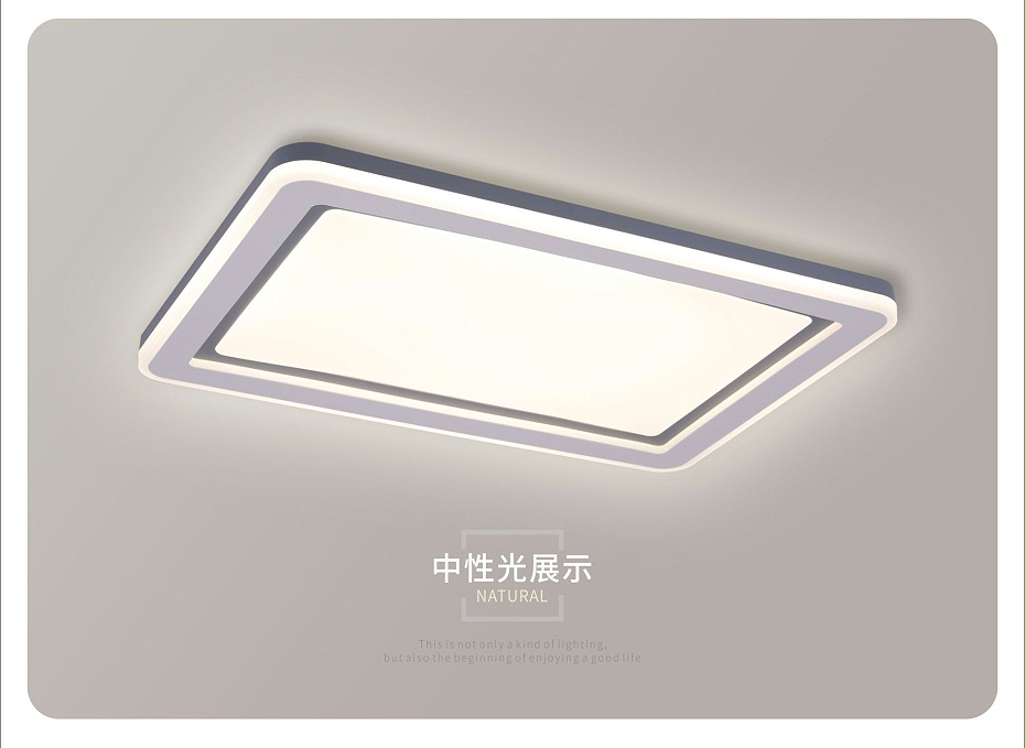 ��Լ������