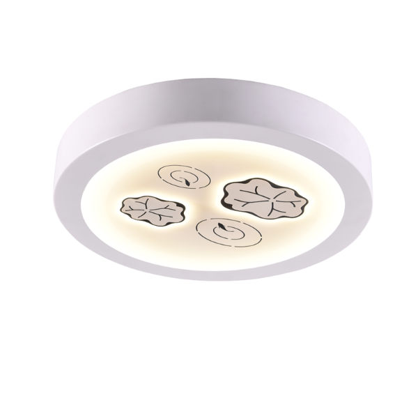 ������ɫ