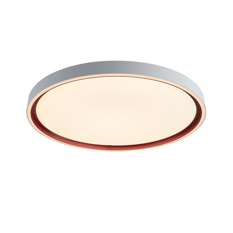 ���������ҵ�