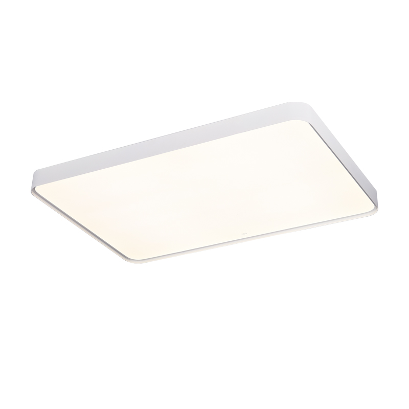 ���������ҵ�