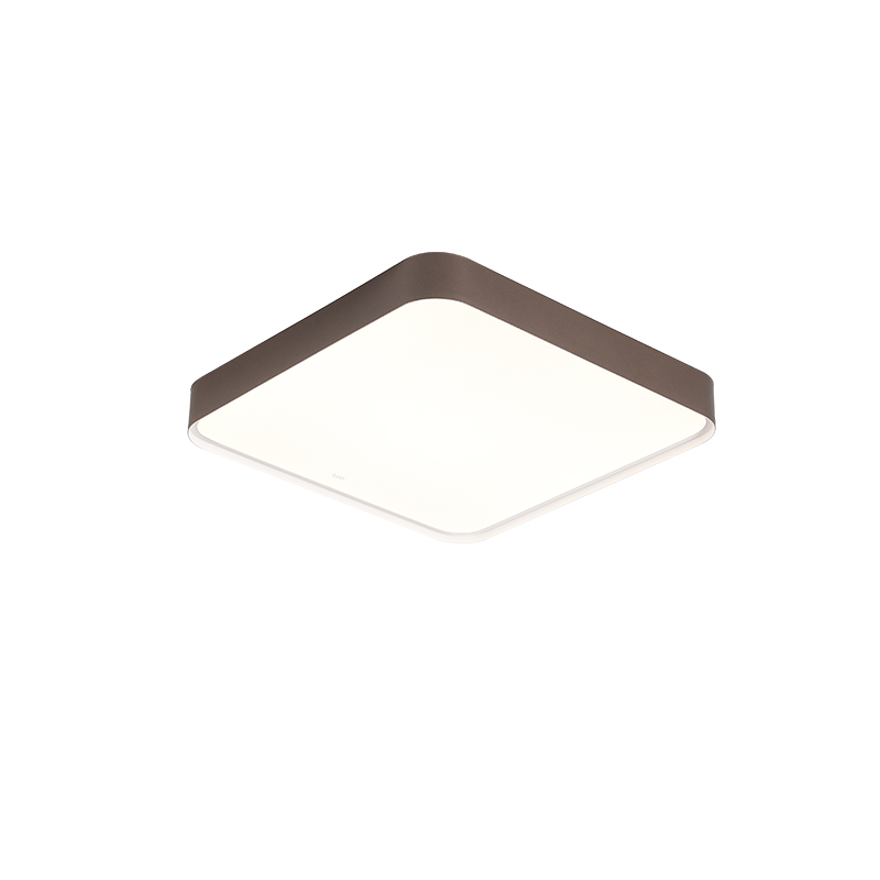 �������ҵ�