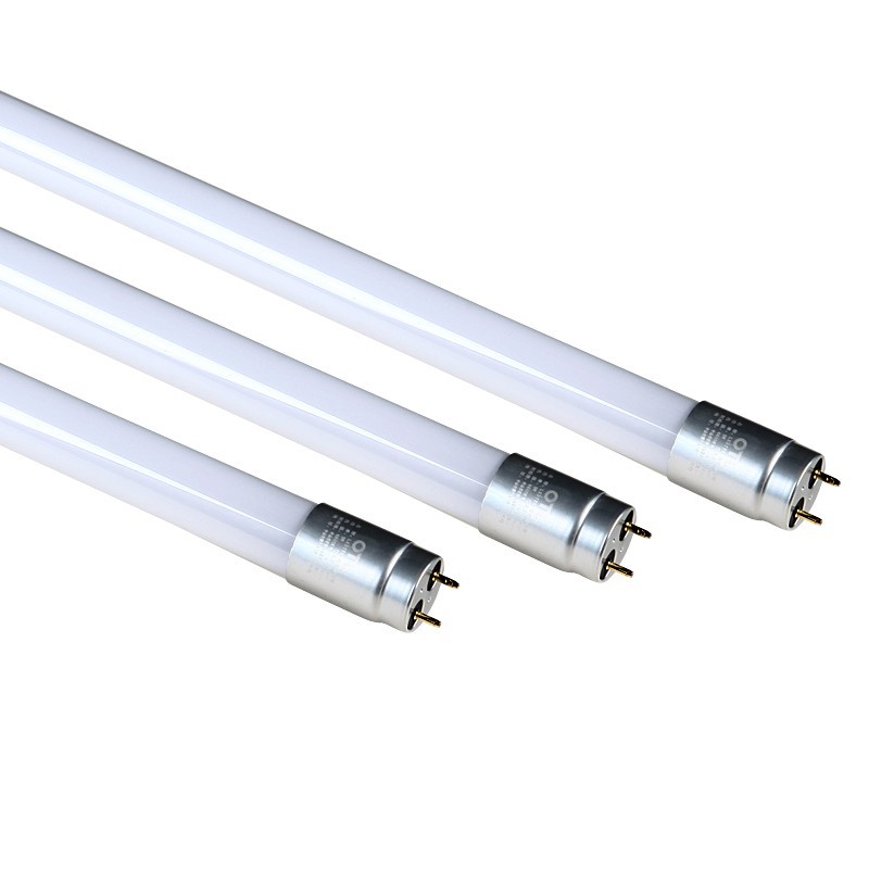 T8�����ƹ�