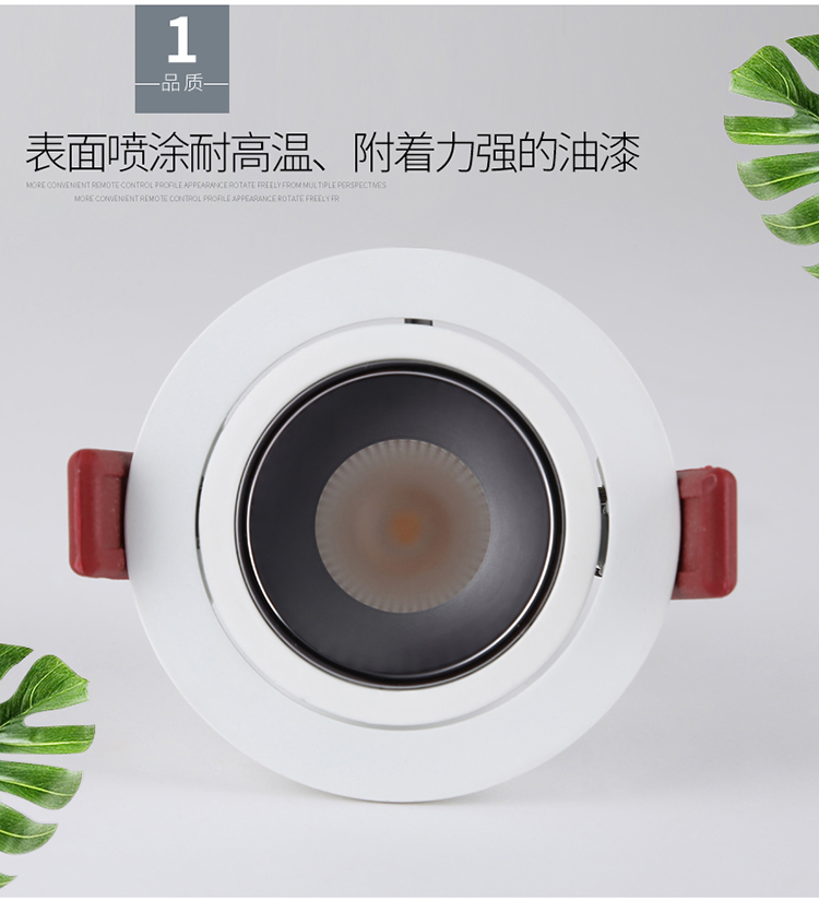 ����˹�ڹ���� 