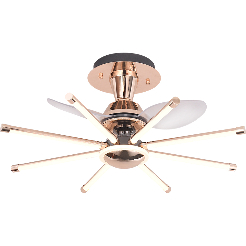 �ִ�������