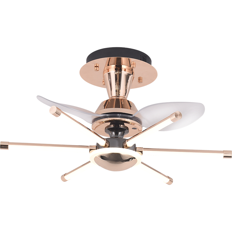 �ִ�������