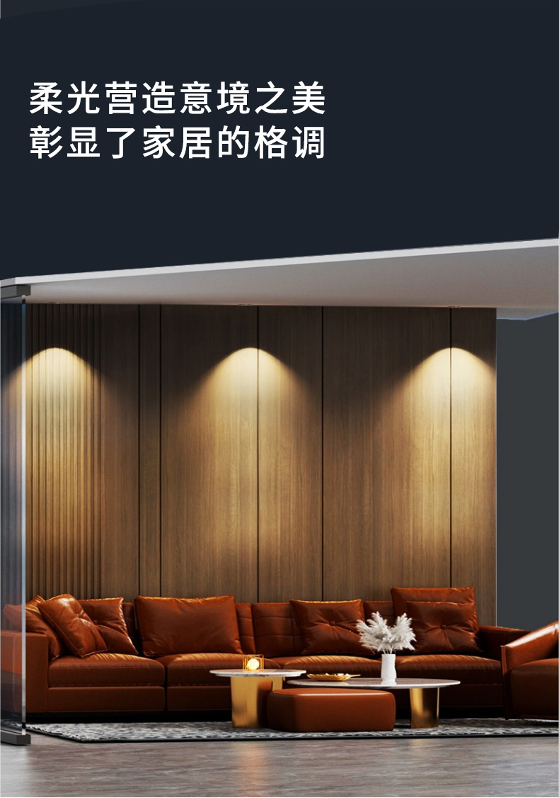 ����PRO�������10