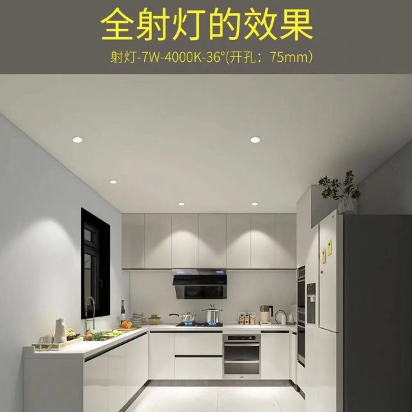 �����ƹ����ƪ