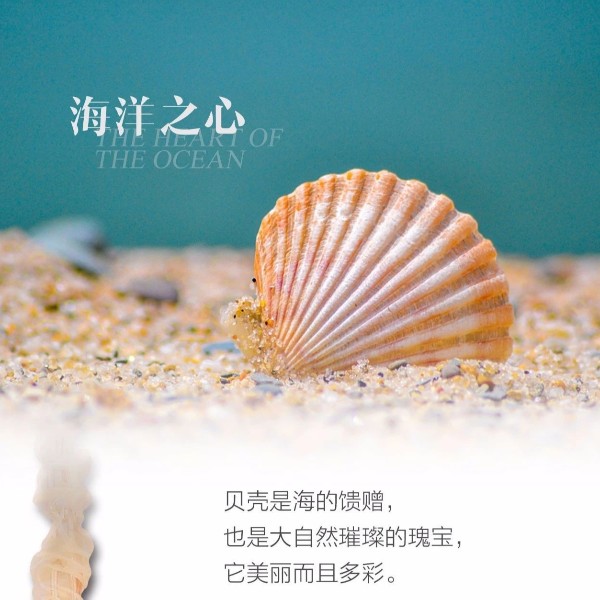 OTL�������̼���,�Ҿӵ���������,��ɽ�ƾ�Ʒ�Ƴ�����led�����ƾ߳���