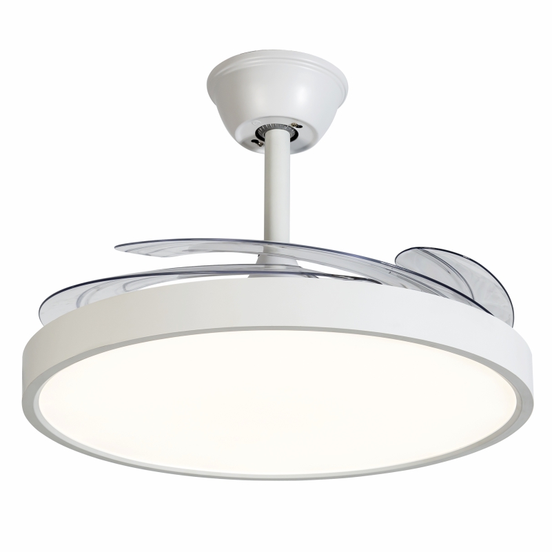 �������-��ɫ �׵�