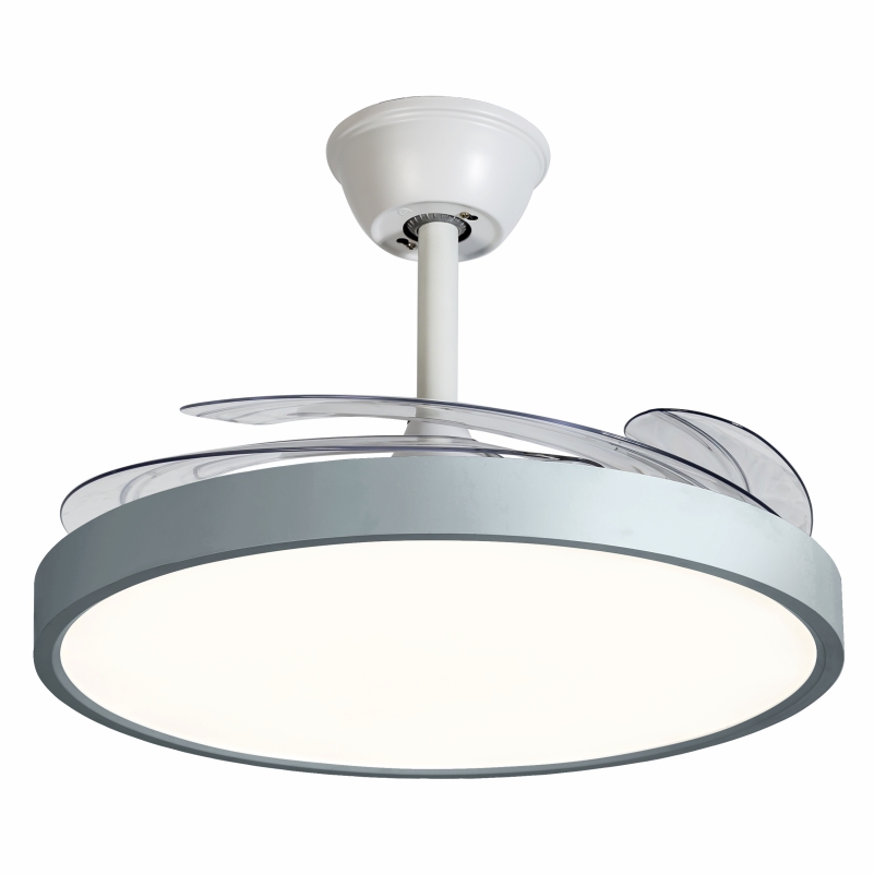 �������-����ɫ �׵�